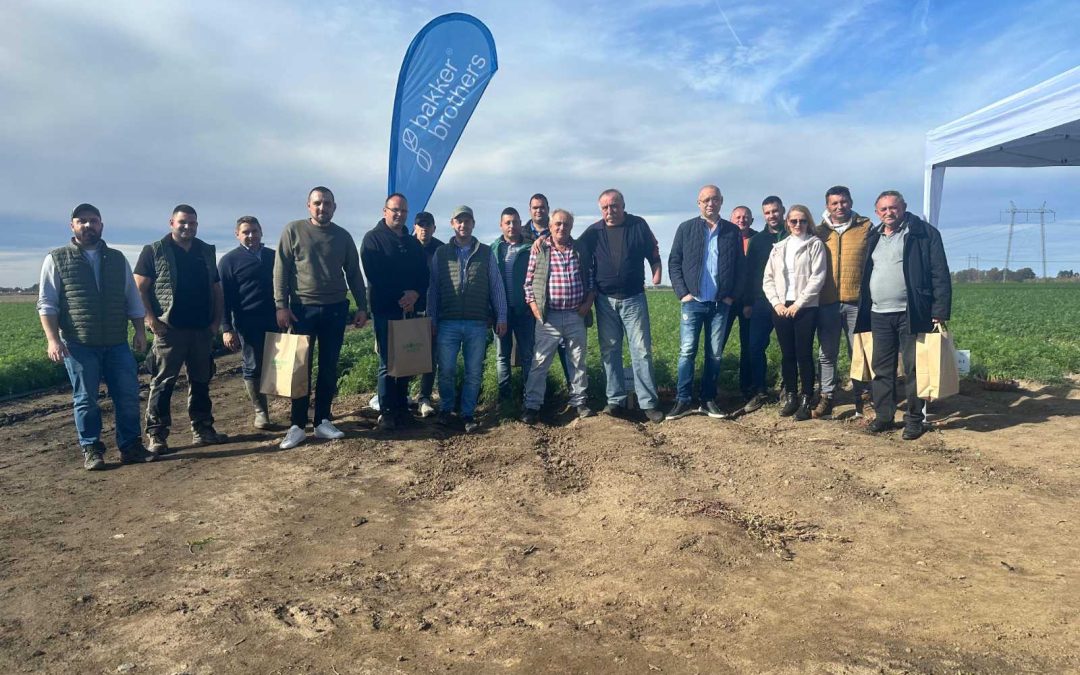 Dani polja mrkve 2025 – Nemanovci