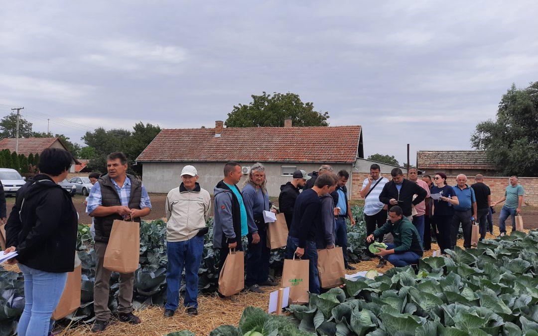 Dani polja kupusnjača 2025 – Mol